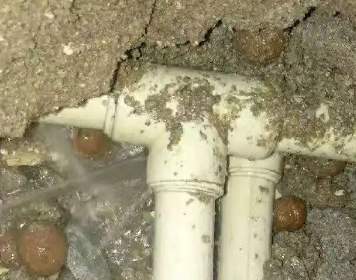 天涯测漏水多少钱