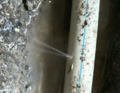 天涯测漏水哪家好