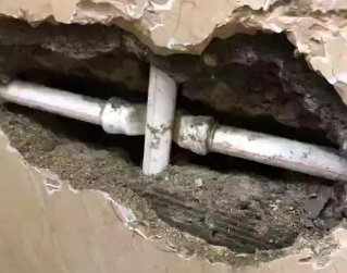 天涯测漏水哪家好