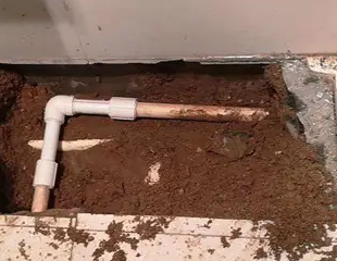 天涯测漏水哪家好