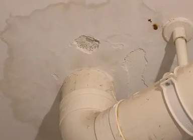 天涯卫生间测漏水多少钱