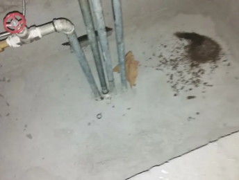 天涯卫生间测漏水价格明细