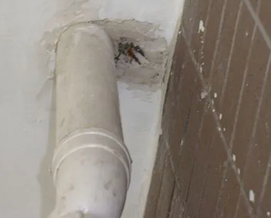 天涯漏水检测哪家好